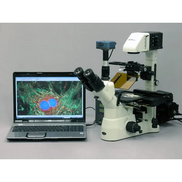 AmScope MT Series 5.0MP CCD Fluorescent Microscope Camera