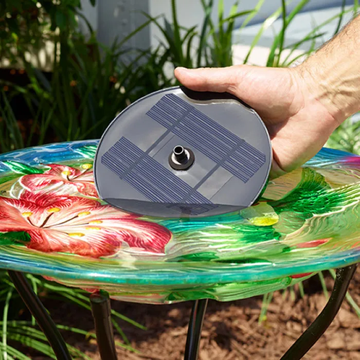 AquaNura Solar Mini Birdbath Insert