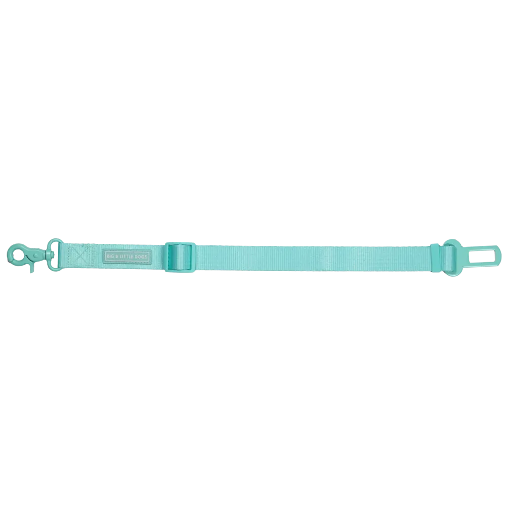 Big & Little Dog Car Seat Restraint - Aqua