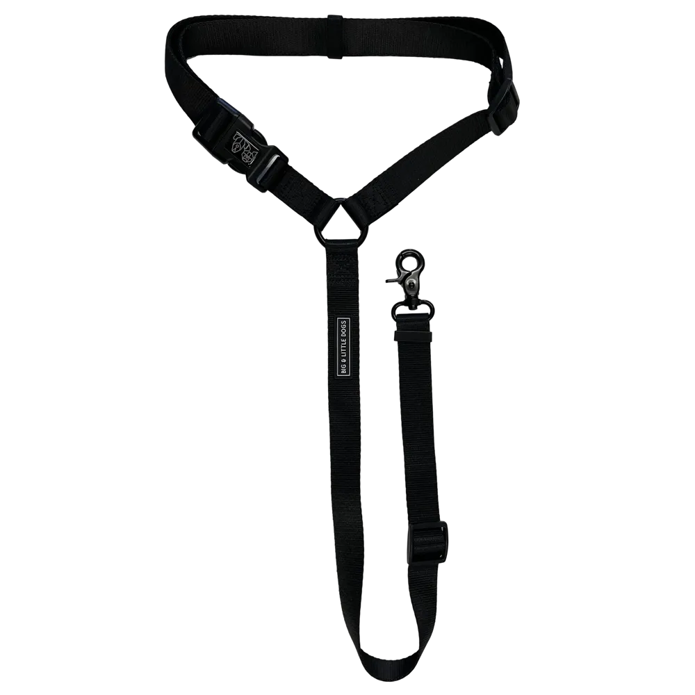 Big & Little Dog Premium Car Headrest Restraint - Black