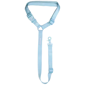 Big & Little Dog Premium Car Headrest Restraint - Blue