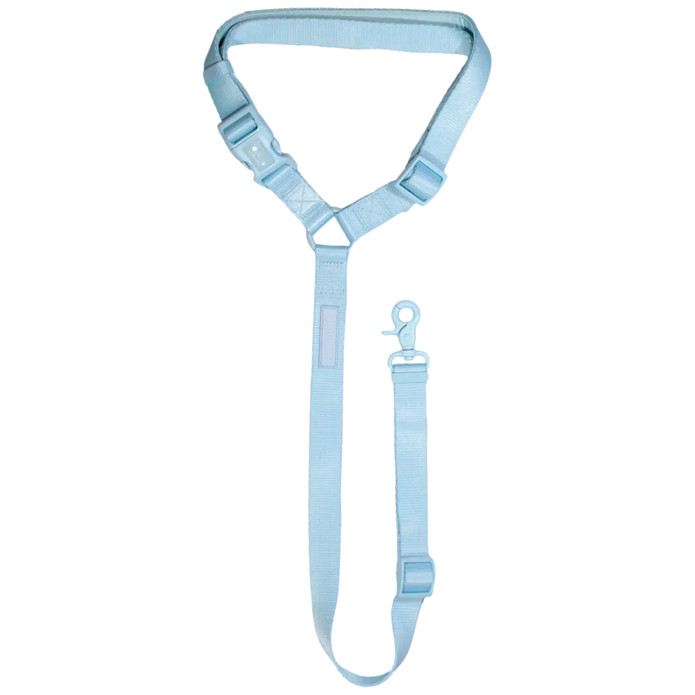 Big & Little Dog Premium Car Headrest Restraint - Blue