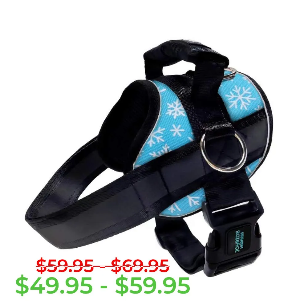 Blue Snowflake Joyride Premium Advanced Dog Harness 2.0