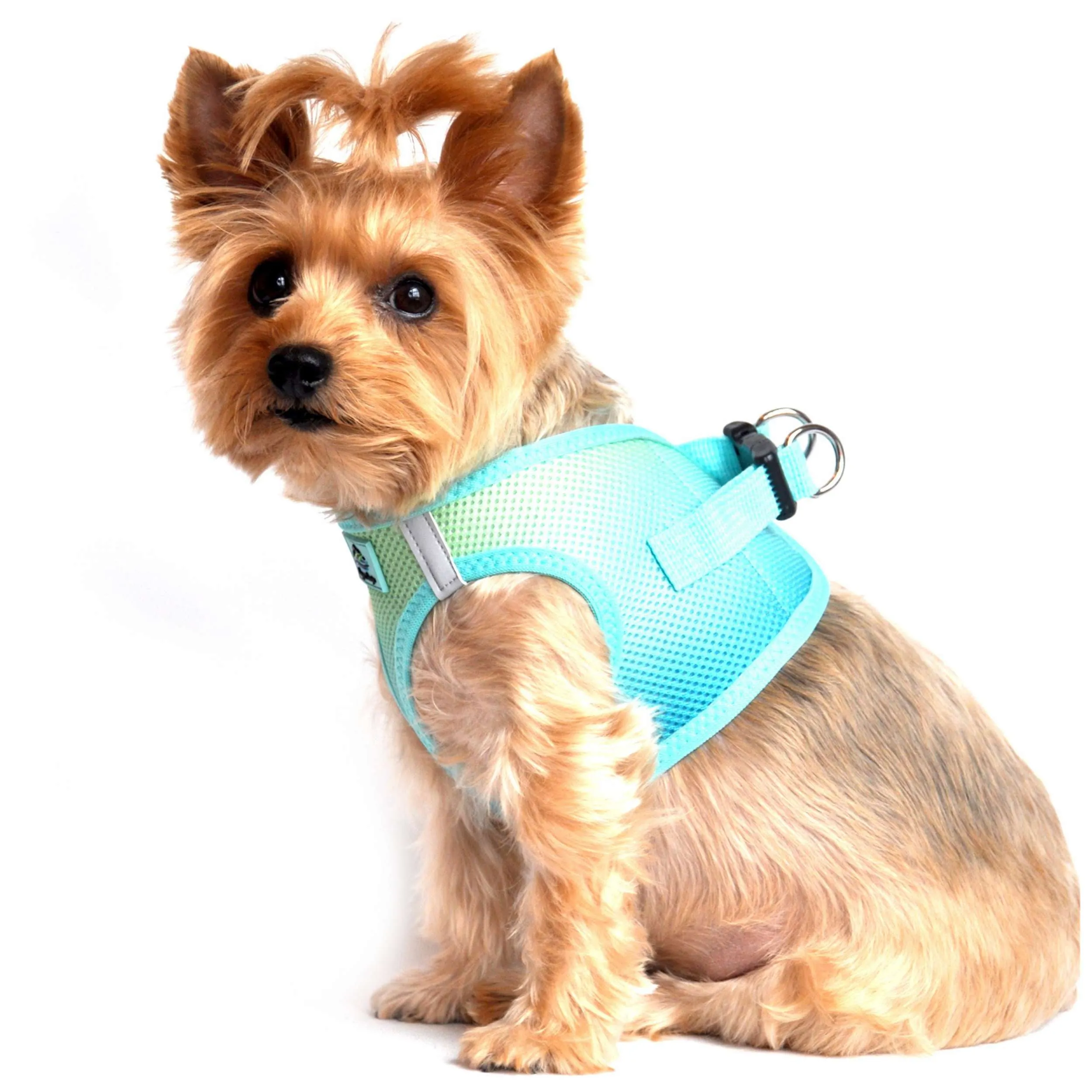 Choke-Free Mesh Harness | Ombre Aruba Blue