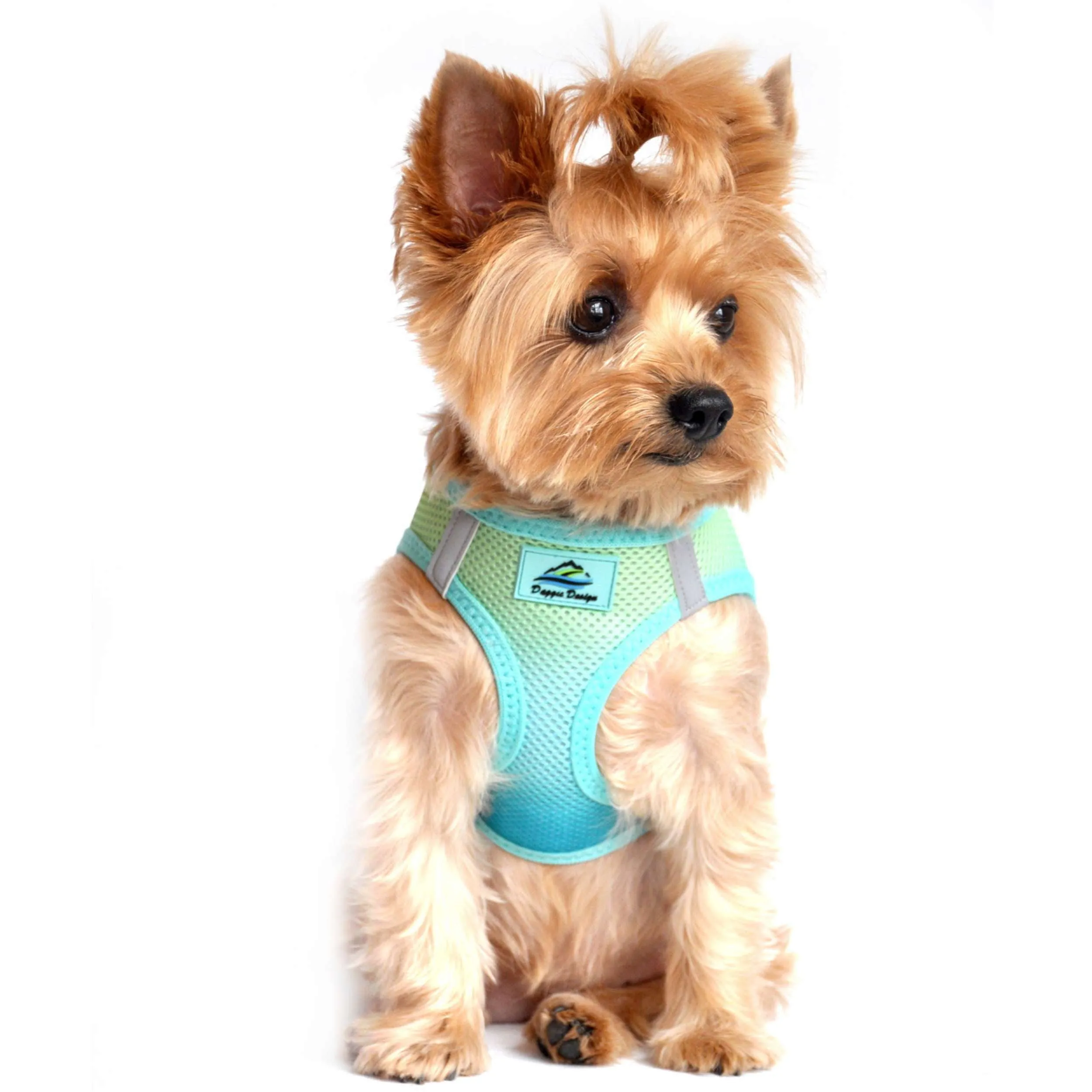 Choke-Free Mesh Harness | Ombre Aruba Blue