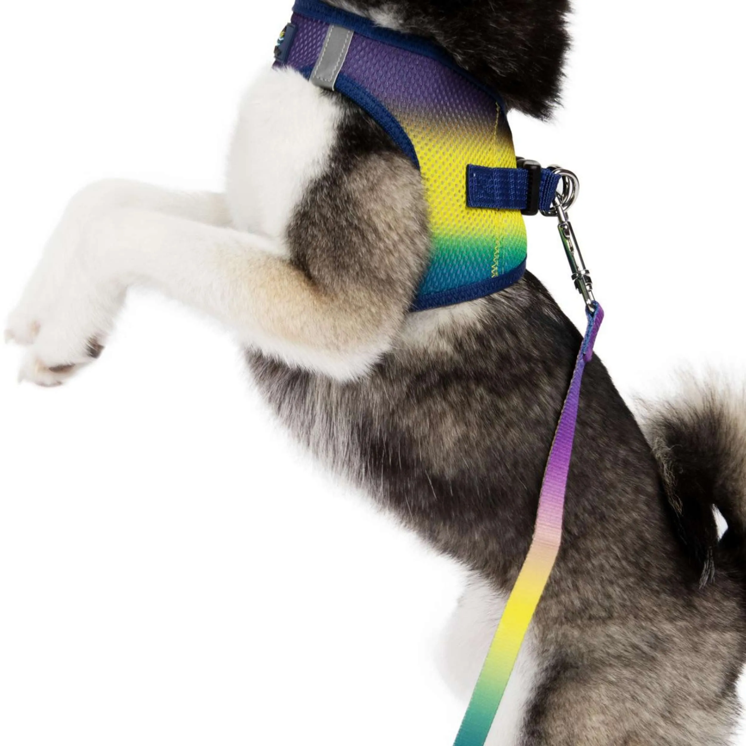 Choke-Free Mesh Harness | Ombre Cosmic Splash
