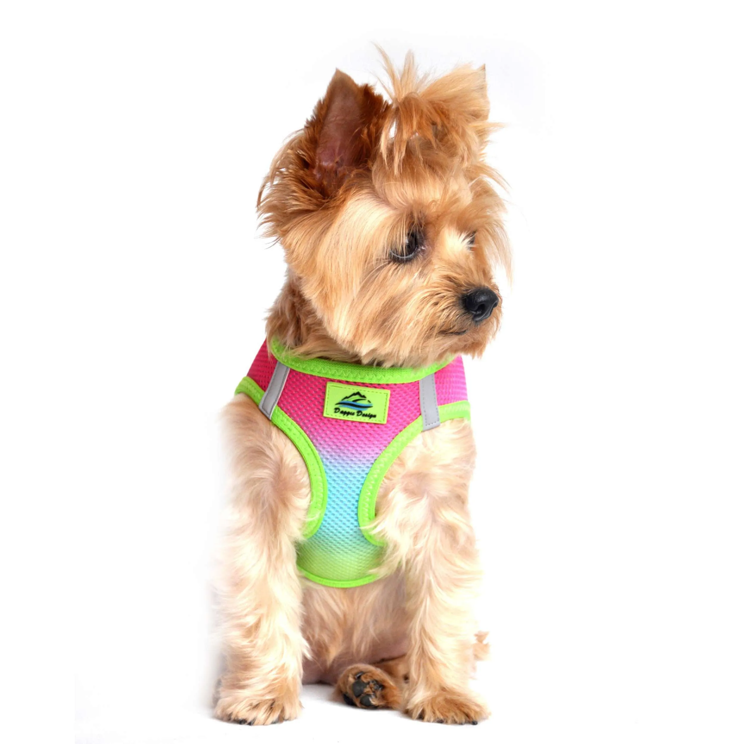 Choke-Free Mesh Harness | Ombre Rainbow