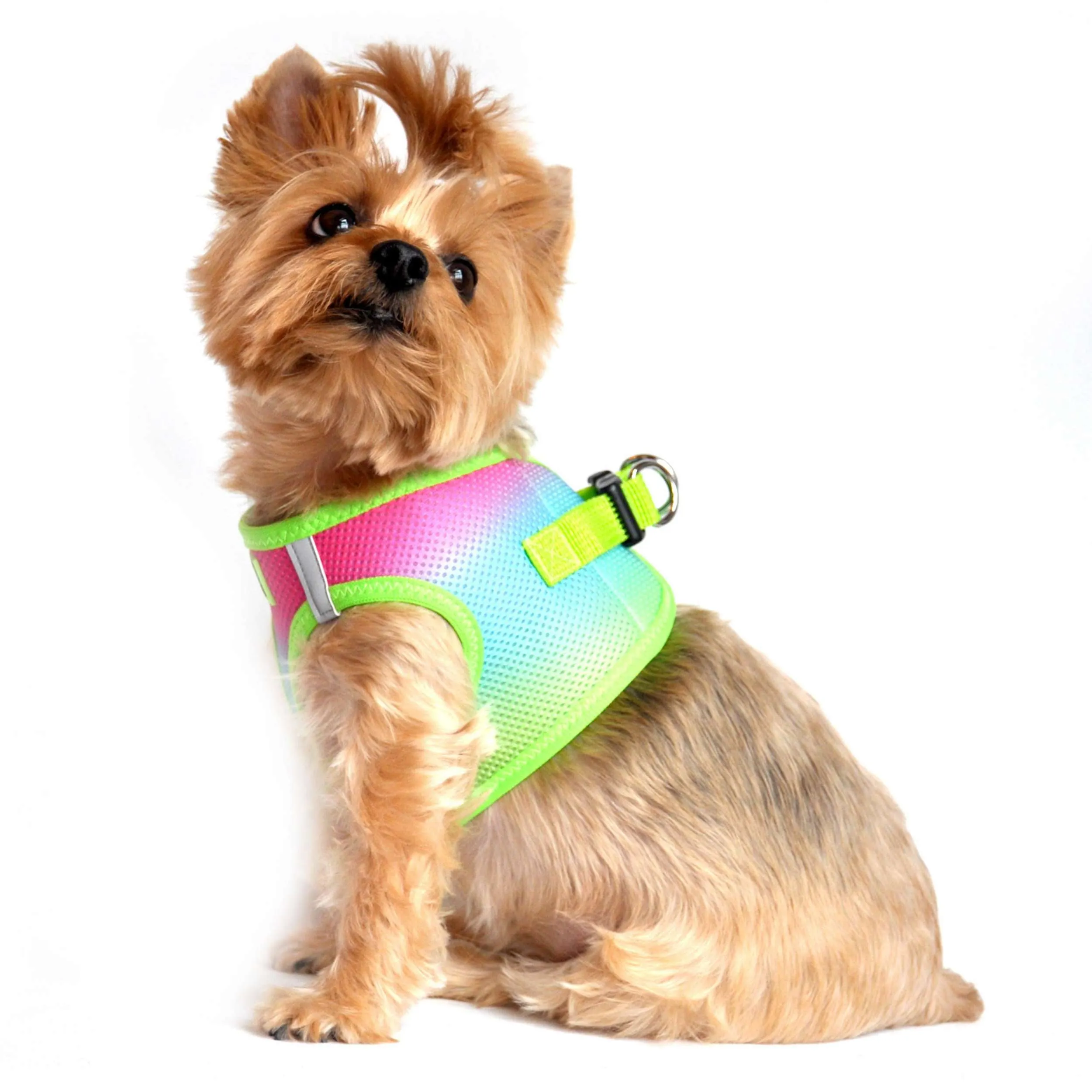 Choke-Free Mesh Harness | Ombre Rainbow