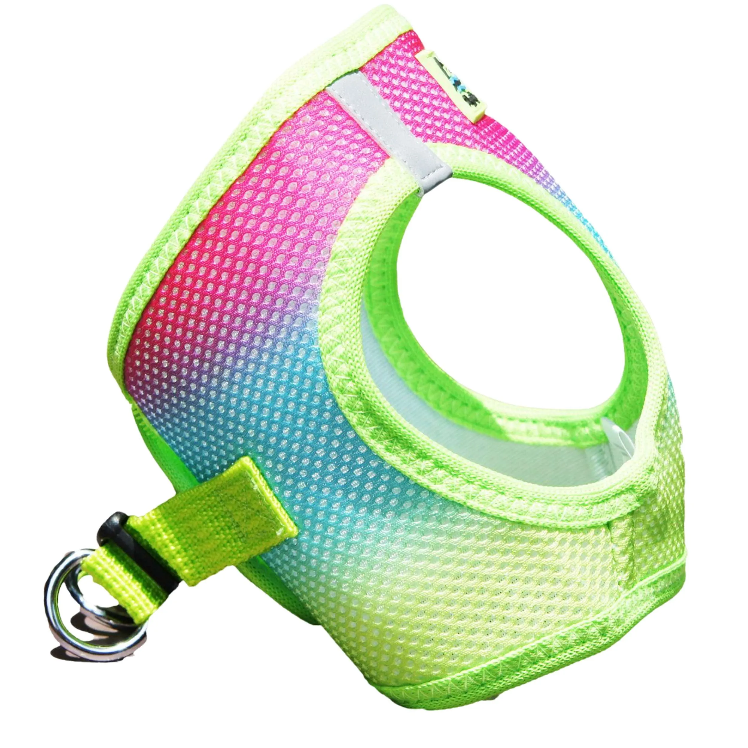 Choke-Free Mesh Harness | Ombre Rainbow