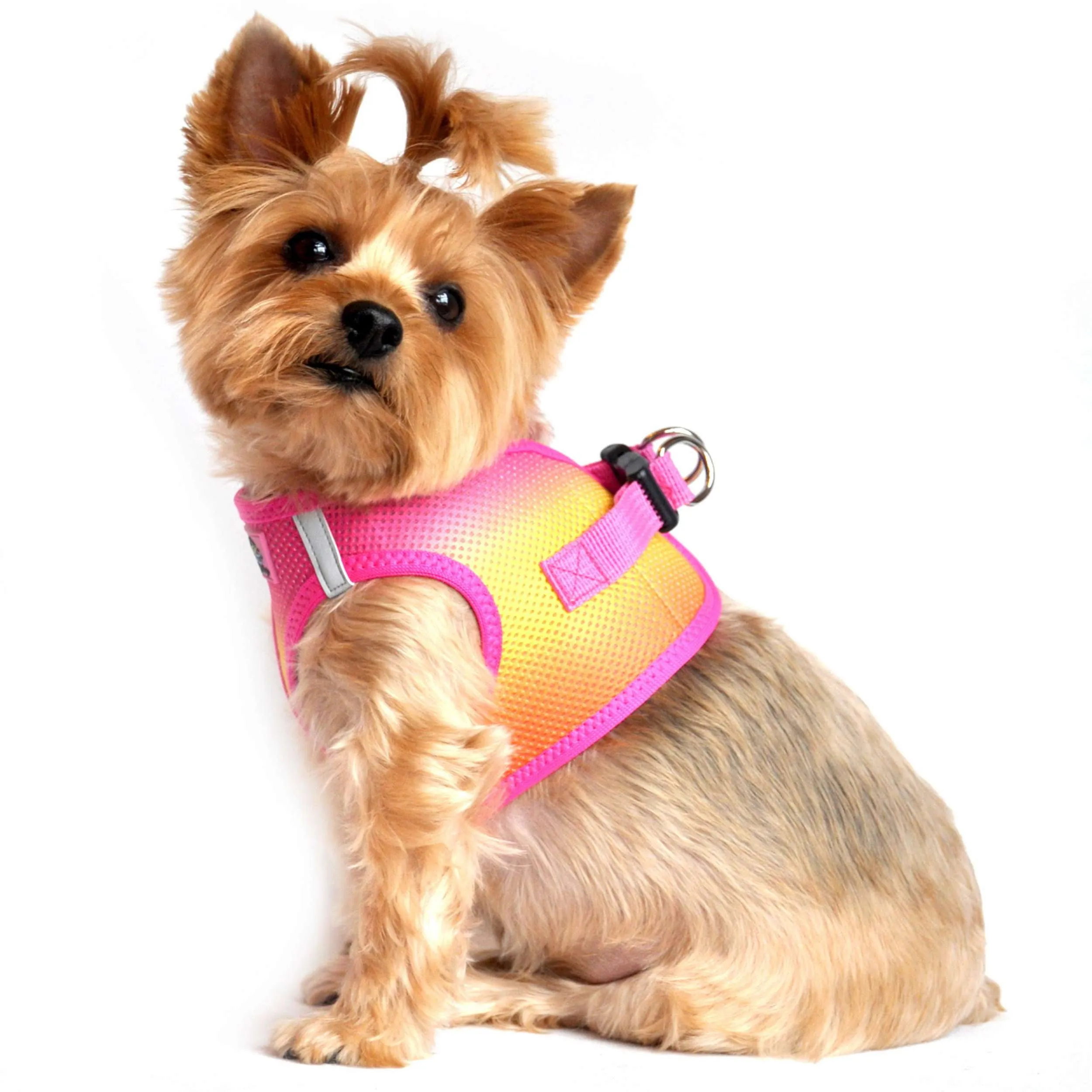 Choke-Free Mesh Harness | Ombre Raspberry, Pink & Orange