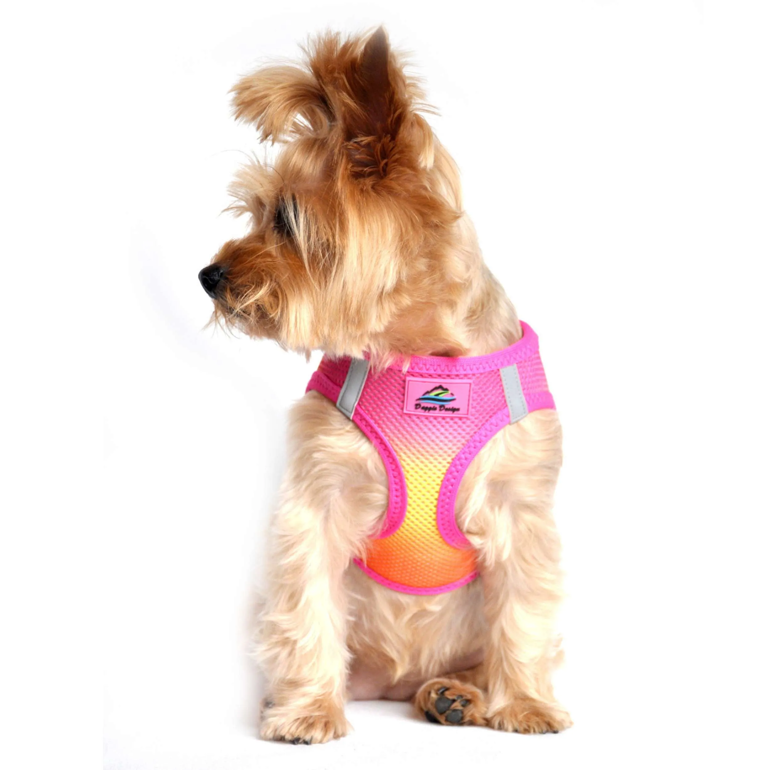 Choke-Free Mesh Harness | Ombre Raspberry, Pink & Orange