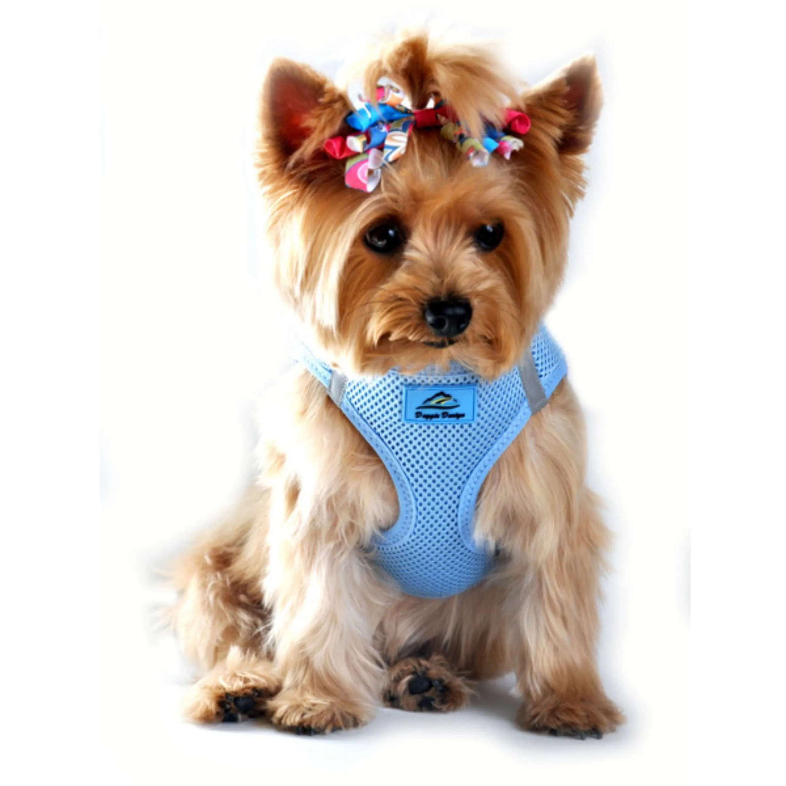 Choke-Free Mesh Harness | Sky Blue