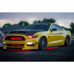 Diode Dynamics - RGBW Multicolor Underglow LED Kit
