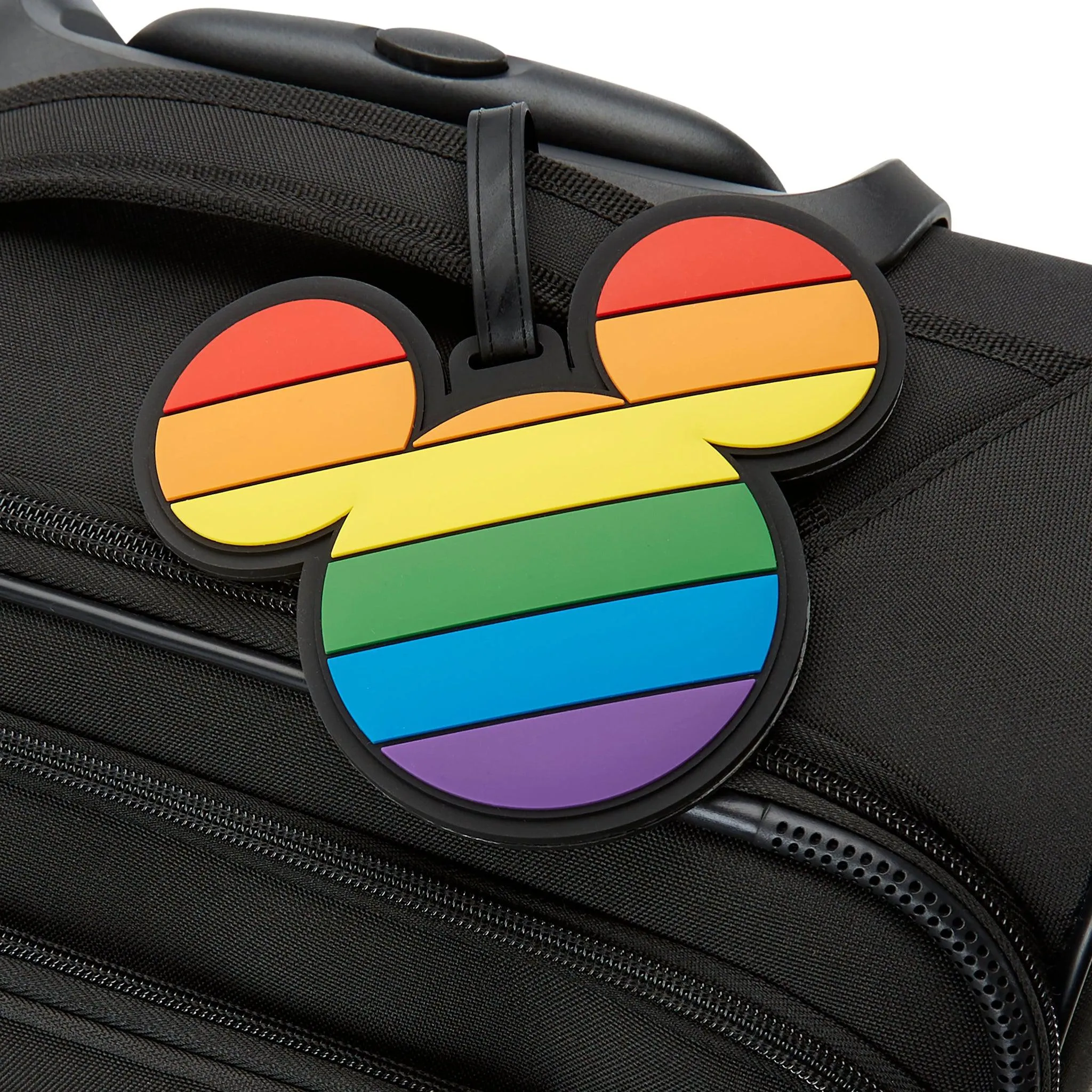 Disney Luggage Tag