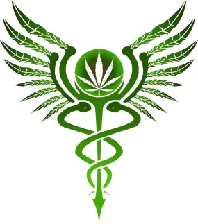 Doctor Consultation Follow-Up