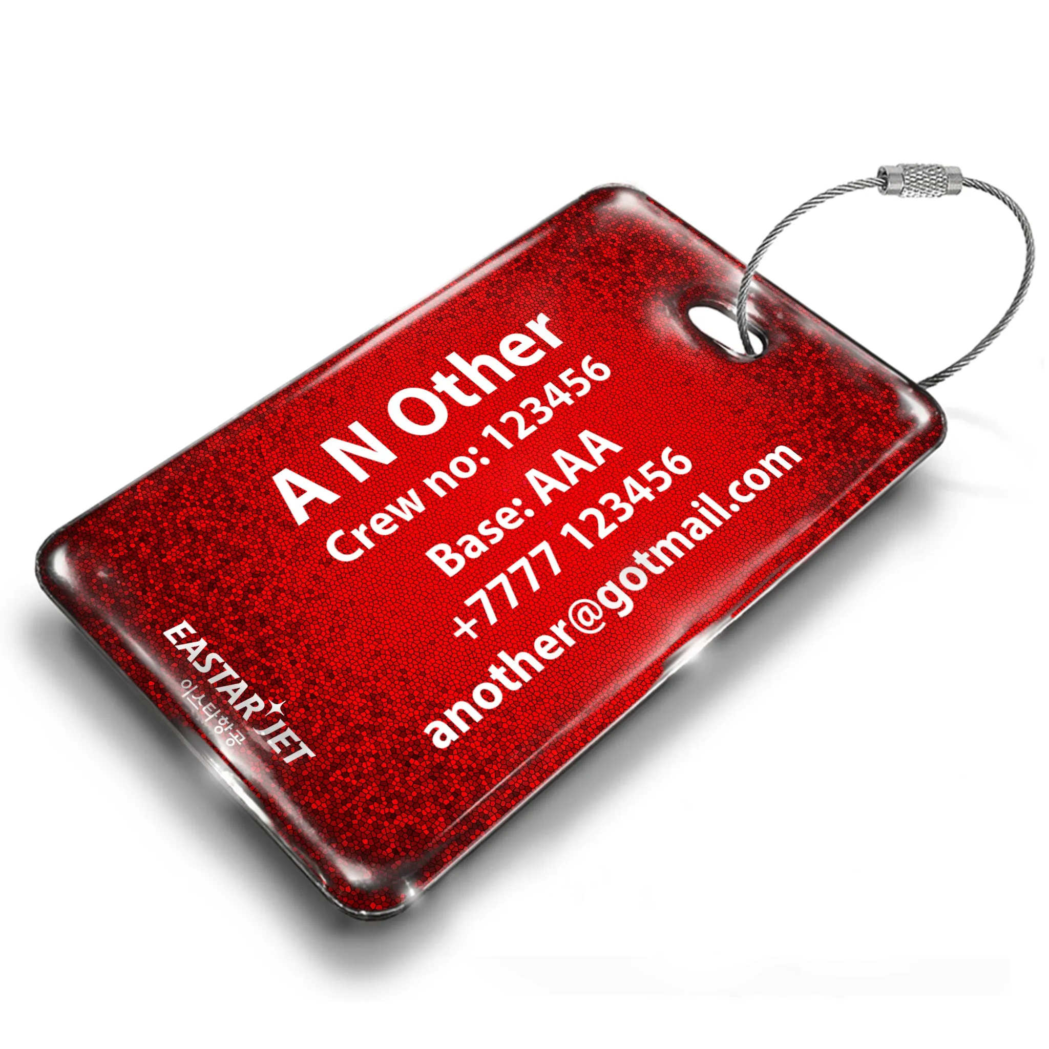 Easter Jet B737 Luggage Tag