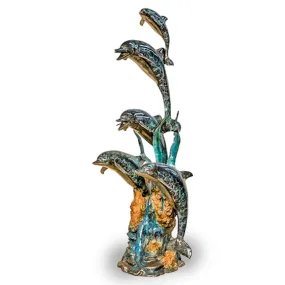 Five Dolphins on Coral Reef