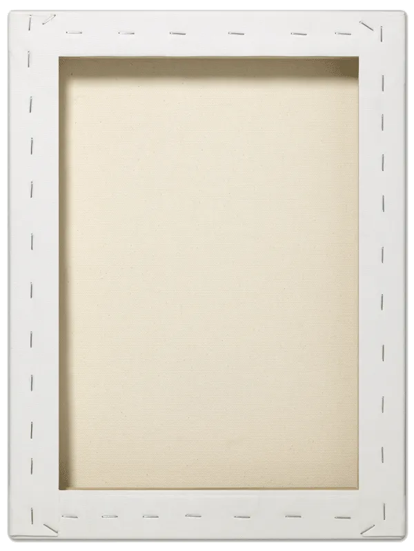 Fredrix TARA Pearlescent Stretched Canvas Gal Wrap 1-3/8"Bar (24x36)"or(60.96 x 91.44)cm