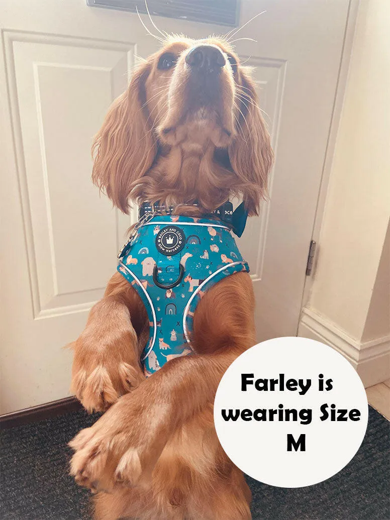 Glow Harness® Bundle Set - A Dog's Tail