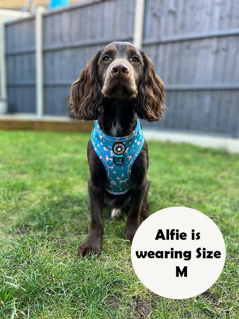 Glow Harness® Bundle Set - A Dog's Tail