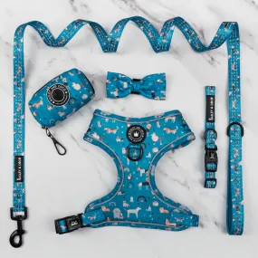 Glow Harness® Bundle Set - A Dog's Tail