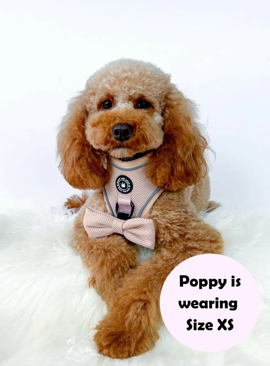Glow Harness® Bundle Set - Almond Tweed