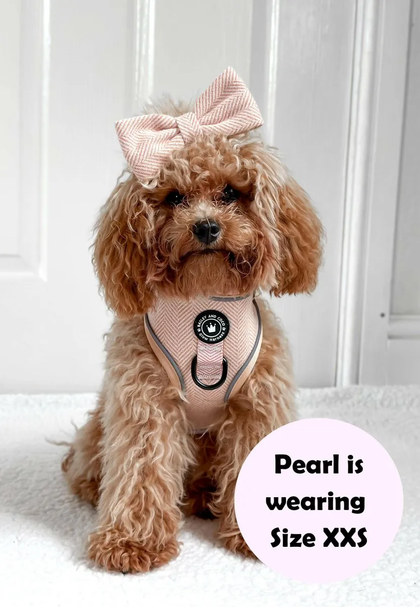 Glow Harness® Bundle Set - Almond Tweed