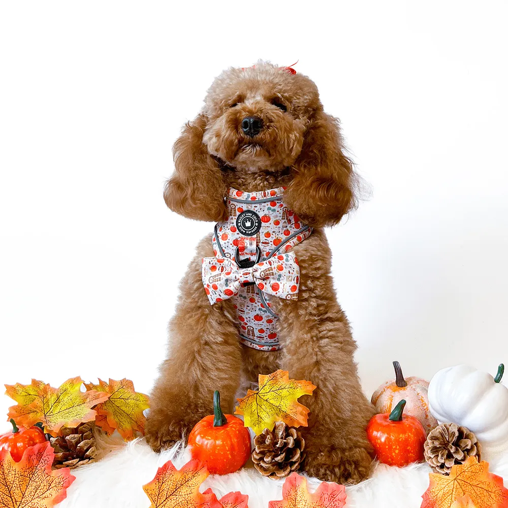 Glow Harness® Bundle Set - Autumn Magic