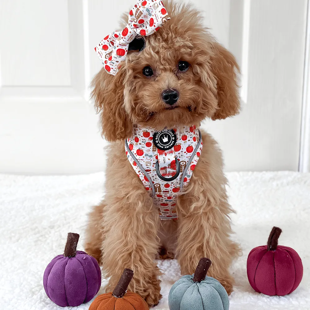 Glow Harness® Bundle Set - Autumn Magic