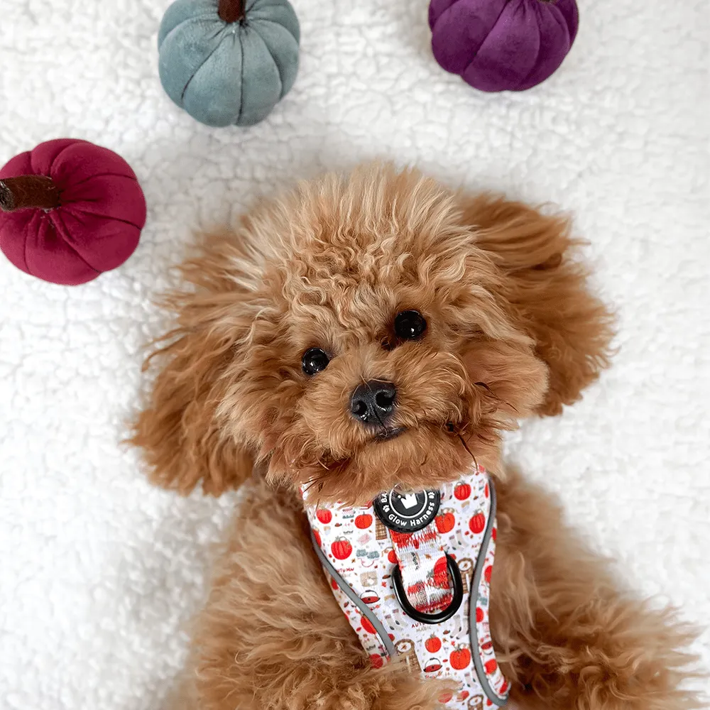 Glow Harness® Bundle Set - Autumn Magic