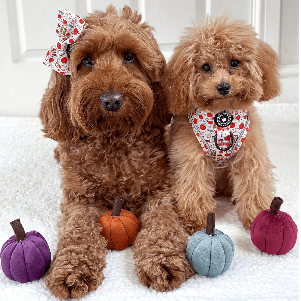 Glow Harness® Bundle Set - Autumn Magic
