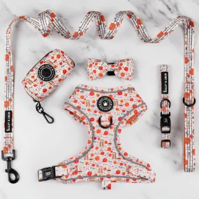 Glow Harness® Bundle Set - Autumn Magic