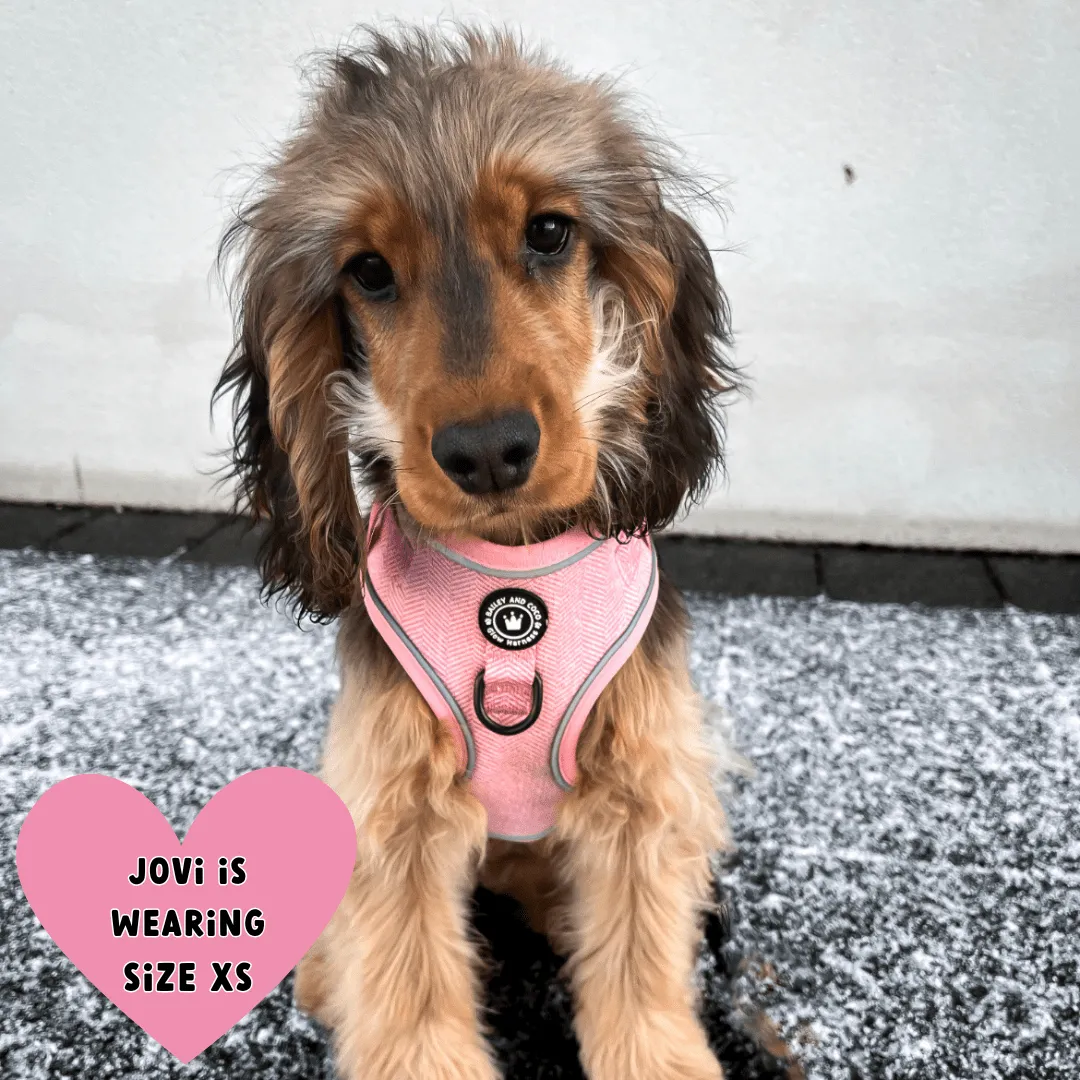 Glow Harness® Bundle Set - Bubblegum Pink Tweed