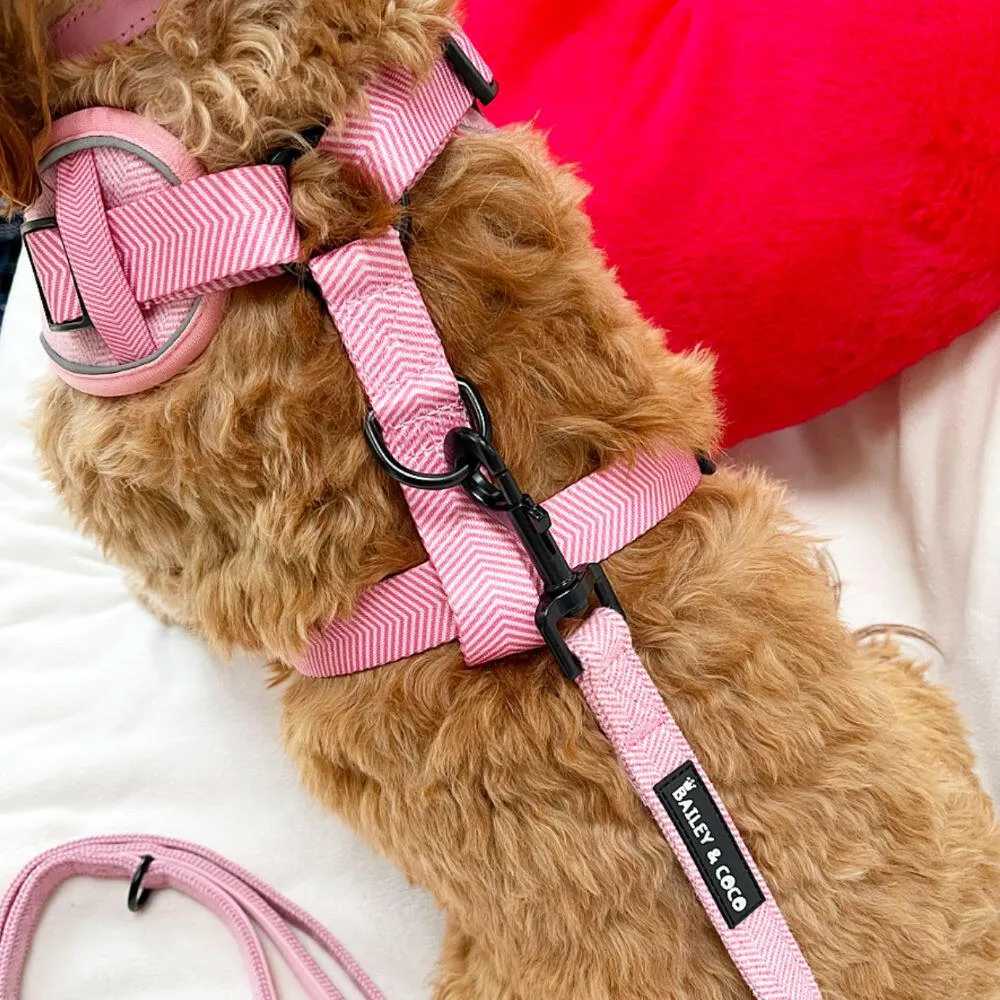 Glow Harness® Bundle Set - Bubblegum Pink Tweed