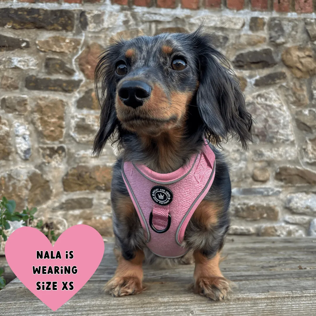 Glow Harness® Bundle Set - Bubblegum Pink Tweed