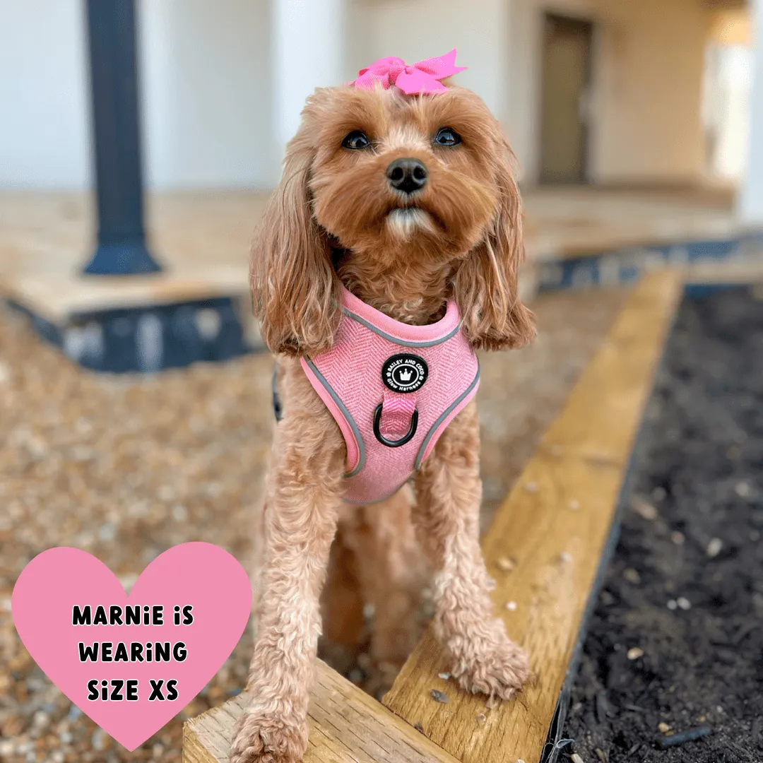 Glow Harness® Bundle Set - Bubblegum Pink Tweed