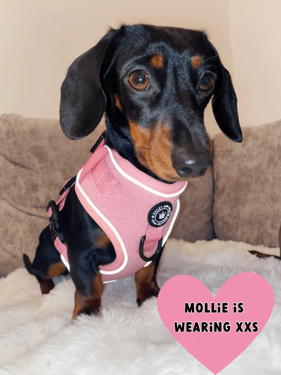 Glow Harness® Bundle Set - Bubblegum Pink Tweed