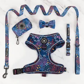 Glow Harness® Bundle Set - Enchanted