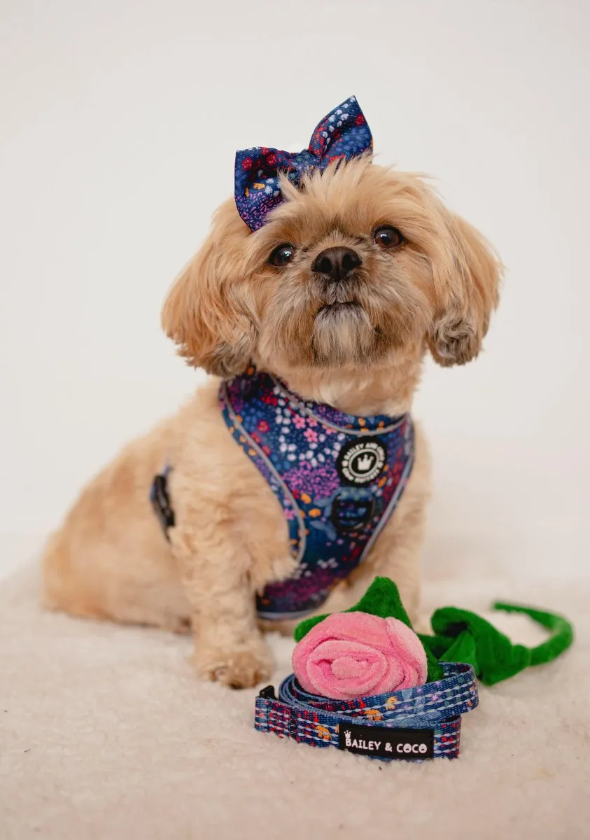 Glow Harness® Bundle Set - Enchanted