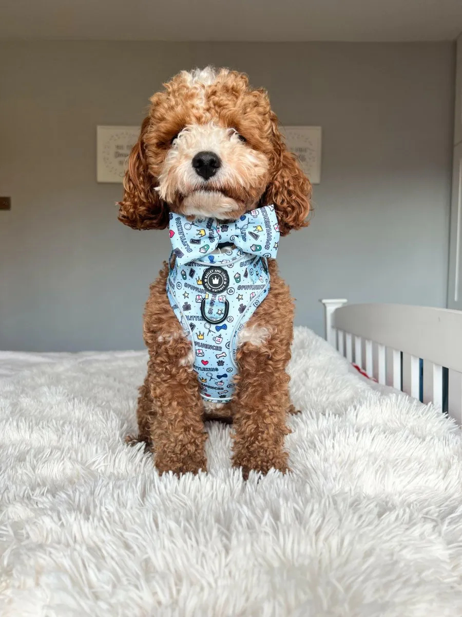 Glow Harness® Bundle Set - Pupfluencer Little King