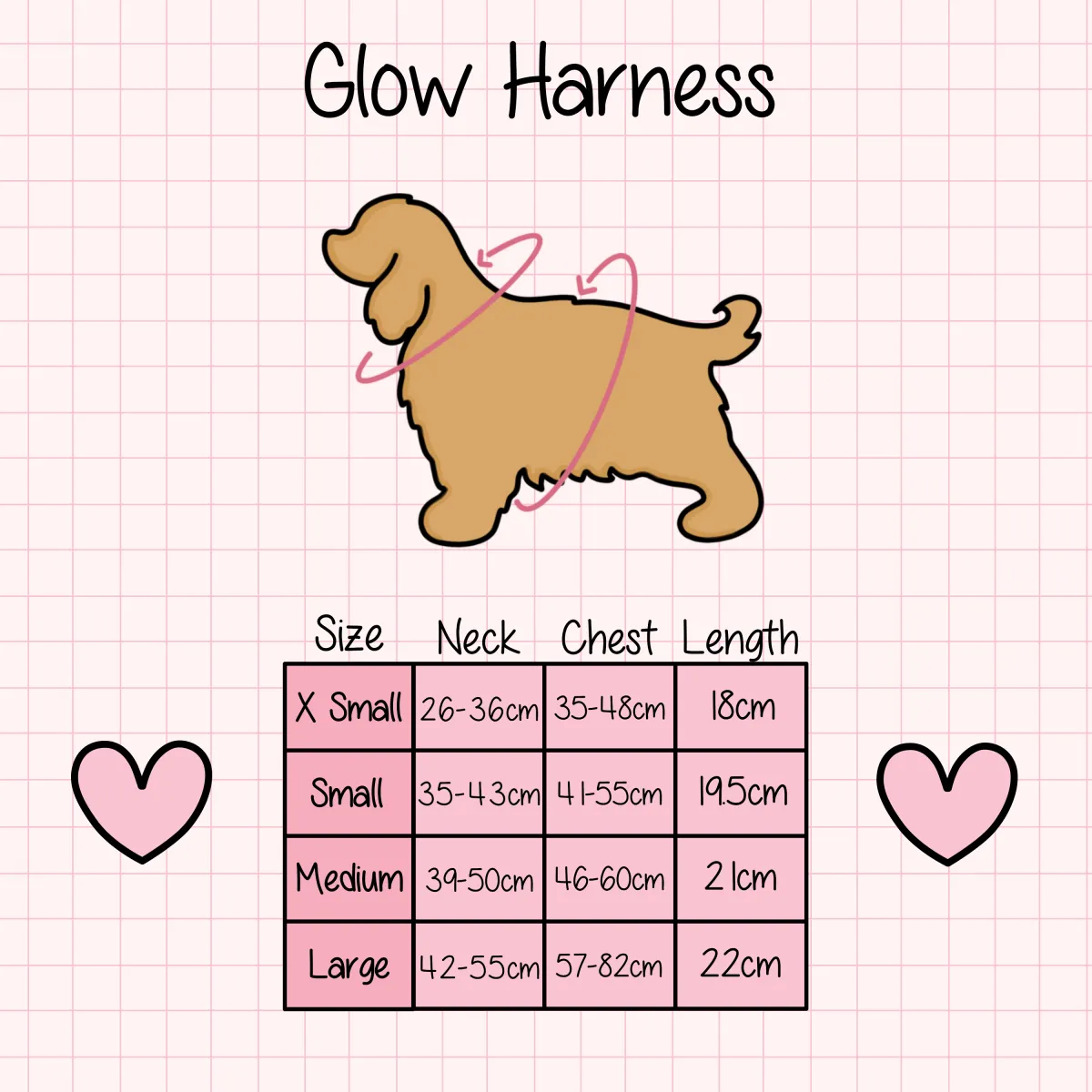 Glow Harness® Bundle Set - Pupfluencer Little King
