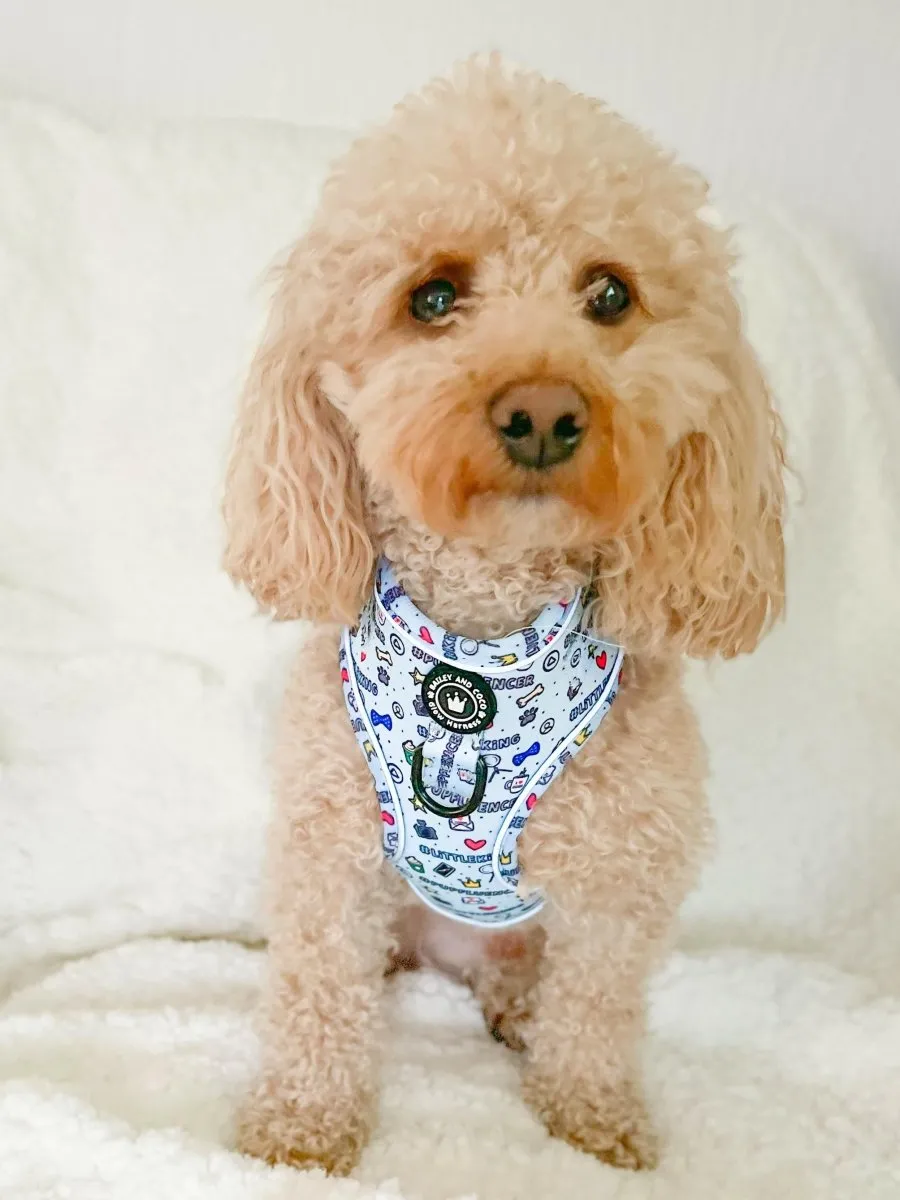 Glow Harness® Bundle Set - Pupfluencer Little King