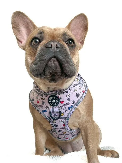 Glow Harness® Bundle Set - Pupfluencer Little Queen