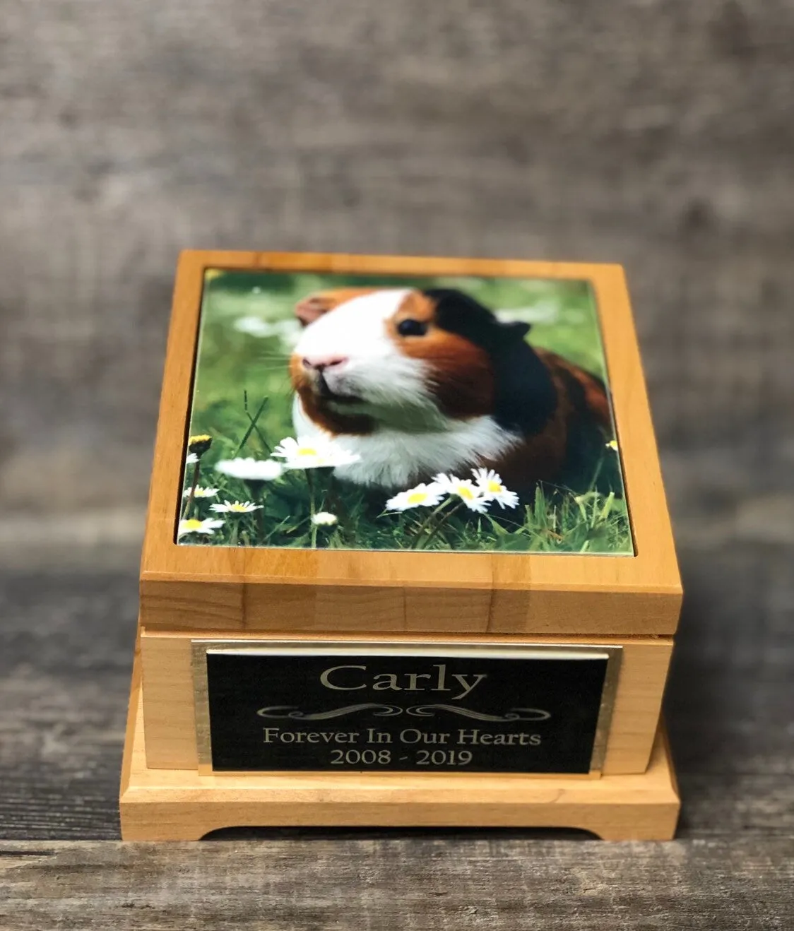 Guinea Pig Urn Small Animal Pet Urn Bunny Rabbit Urn Pet Memorial Keepsake Box Cremation Urn Custom Photo Tile & Engraved Tag To 25lbs