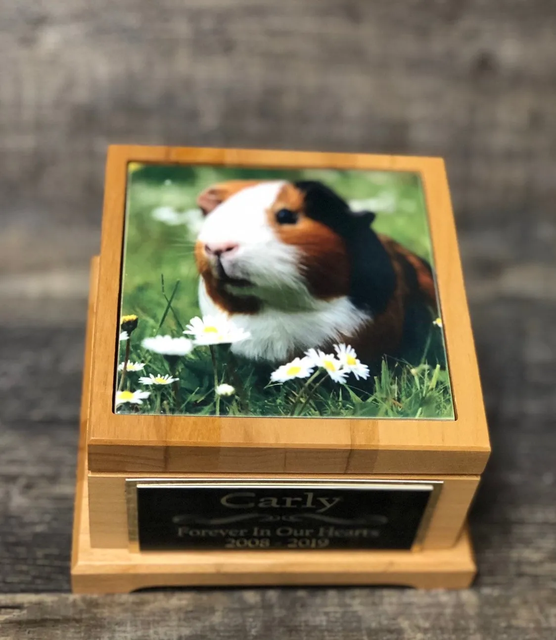 Guinea Pig Urn Small Animal Pet Urn Bunny Rabbit Urn Pet Memorial Keepsake Box Cremation Urn Custom Photo Tile & Engraved Tag To 25lbs