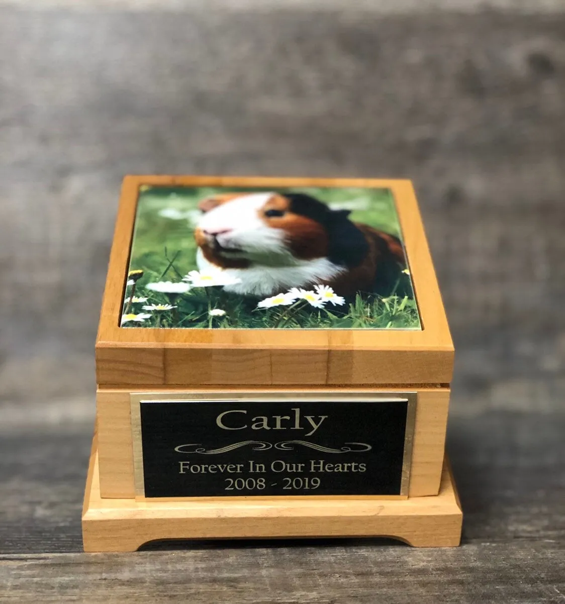 Guinea Pig Urn Small Animal Pet Urn Bunny Rabbit Urn Pet Memorial Keepsake Box Cremation Urn Custom Photo Tile & Engraved Tag To 25lbs
