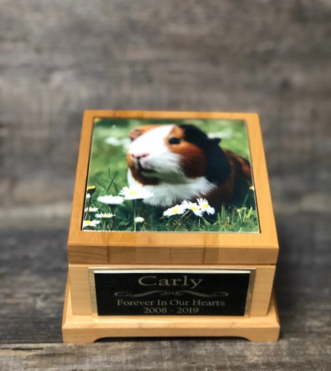 Guinea Pig Urn Small Animal Pet Urn Bunny Rabbit Urn Pet Memorial Keepsake Box Cremation Urn Custom Photo Tile & Engraved Tag To 25lbs