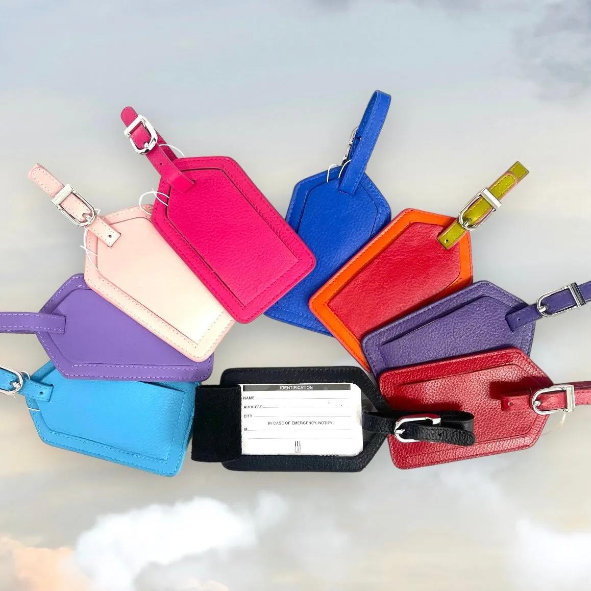 ILI Leather Luggage Tags