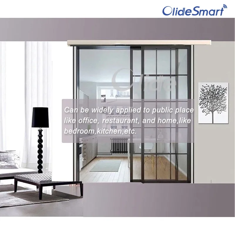 Magnetic Drive Automatic Sliding Door Opener Phone APP Debugging