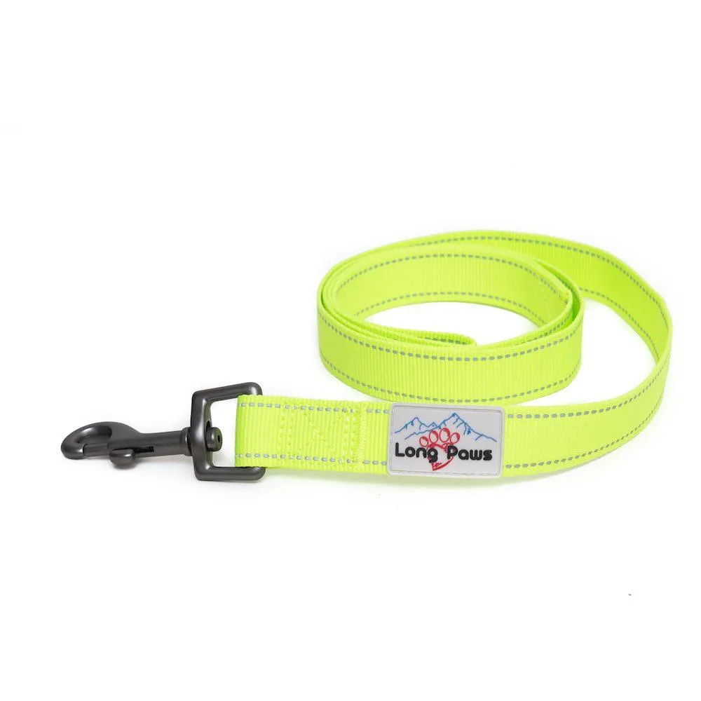 Neon Webbing Dog Lead | Hi Viz